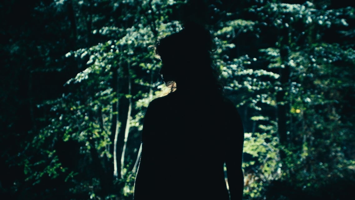 Clip 2